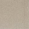 Carpete em Manta  Belgotex Sensation SDN 11,5mm x 3,66m (m)- 003 Praise