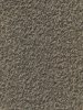 Carpete em Manta Beaulieu Belgotex Mistral 100% SDN - Resistain  5,5mm x 3,66m (m) - 001 Camel