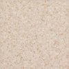 Piso Vinilico em Manta Tarkett  Eclipse Premium Classic 2mm x 2m(m2) 036